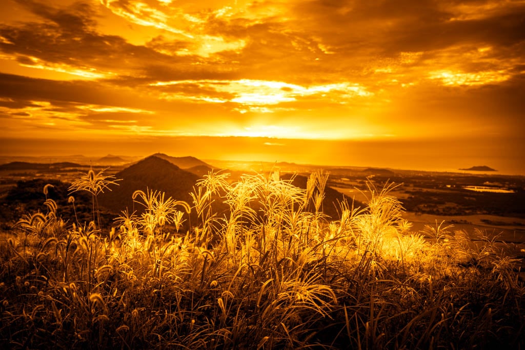 제주 억새여행, 억새 명소 새별오름 석양을 보다 83 제주 억새여행, 억새 명소 새별오름 석양을 보다 82