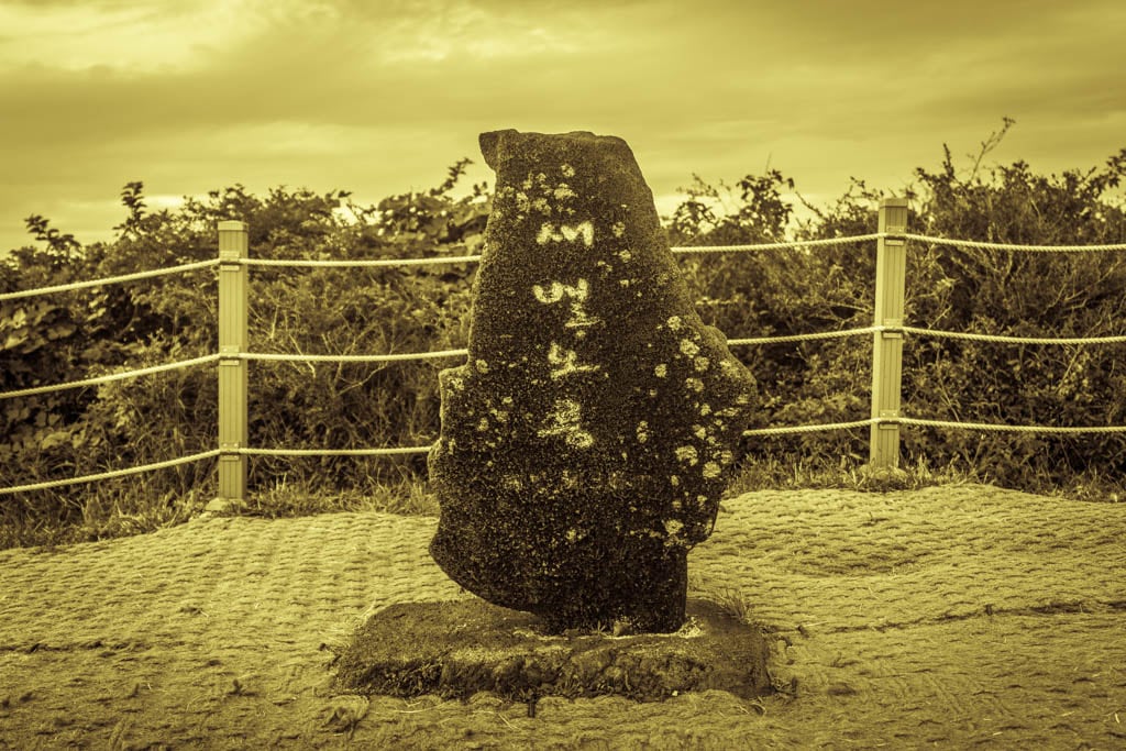 제주 억새여행, 억새 명소 새별오름 석양을 보다 79 제주 억새여행, 억새 명소 새별오름 석양을 보다 78