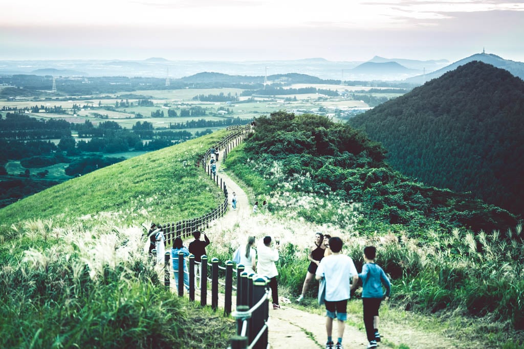 제주 억새여행, 억새 명소 새별오름 석양을 보다 77 제주 억새여행, 억새 명소 새별오름 석양을 보다 76