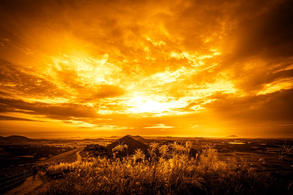제주 억새여행, 억새 명소 새별오름 석양을 보다 84 제주 억새여행, 억새 명소 새별오름 석양을 보다 83