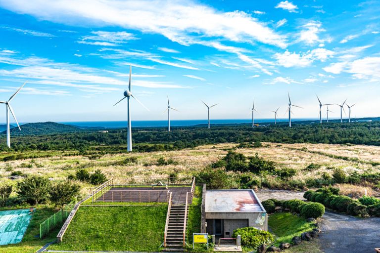 제주여행_제주 억새 명소, 유채꽃플라자 억새 풍경, DSC05220-, Photo by Happist