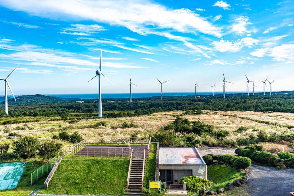 제주 억새여행, 억새 명소 유채꽃플라자 억새를 보다 89 제주 억새여행, 억새 명소 유채꽃플라자 억새를 보다 87
