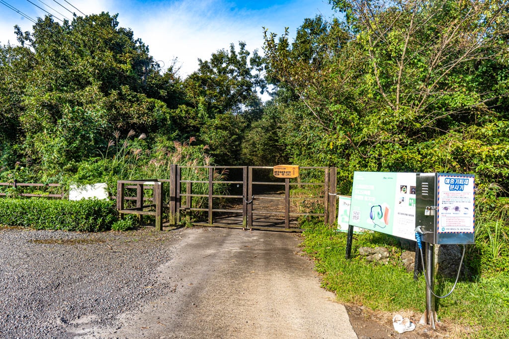 제주 억새여행, 억새 명소 큰사슴이오름 억새를 보다 94 제주 억새여행, 억새 명소 큰사슴이오름 억새를 보다 92