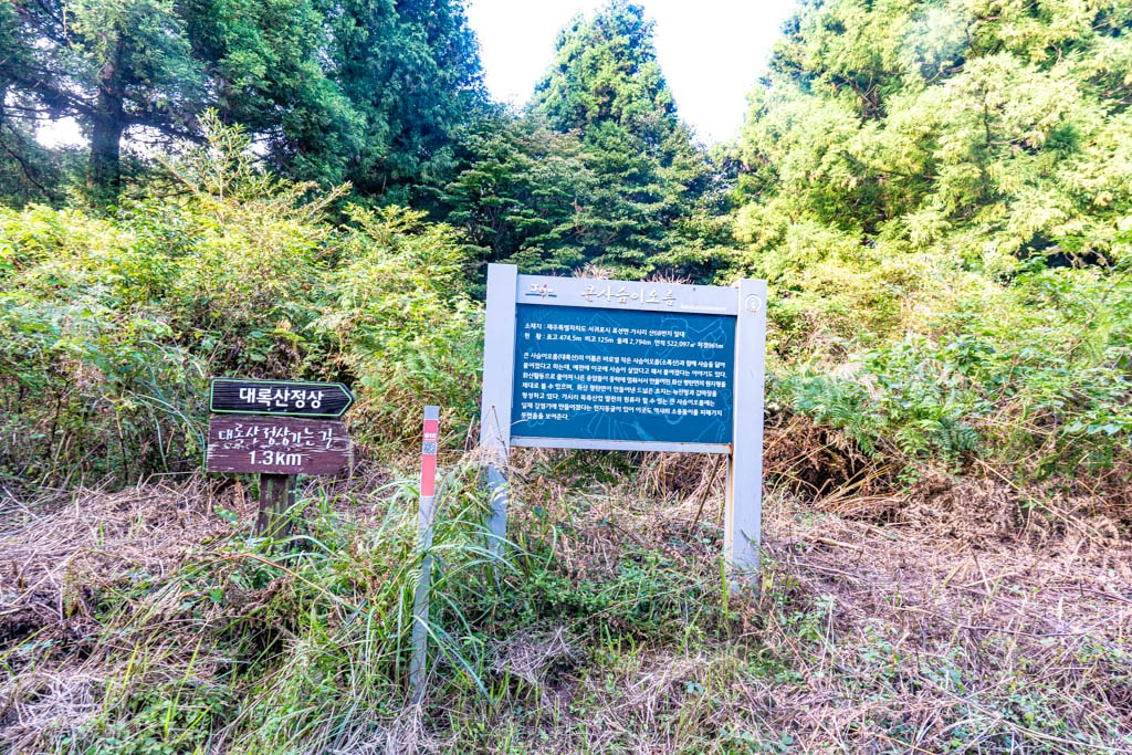 제주 억새여행, 억새 명소 큰사슴이오름 억새를 보다 96 제주 억새여행, 억새 명소 큰사슴이오름 억새를 보다 94