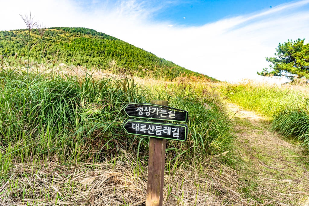 제주 억새여행, 억새 명소 큰사슴이오름 억새를 보다 102 제주 억새여행, 억새 명소 큰사슴이오름 억새를 보다 100