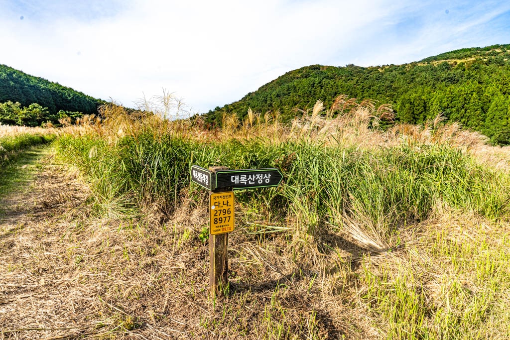 제주 억새여행, 억새 명소 큰사슴이오름 억새를 보다 104 제주 억새여행, 억새 명소 큰사슴이오름 억새를 보다 102