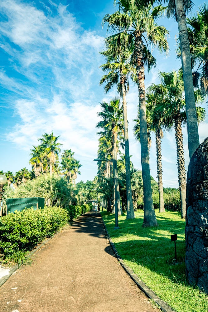 제주여행, 중문 주상절리 풍경을 담다 60 제주여행, 중문 주상절리 풍경을 담다 59