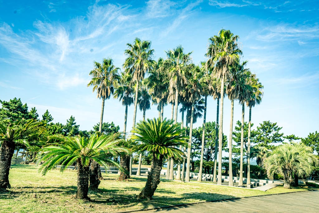 제주여행, 중문 주상절리 풍경을 담다 61 제주여행, 중문 주상절리 풍경을 담다 60