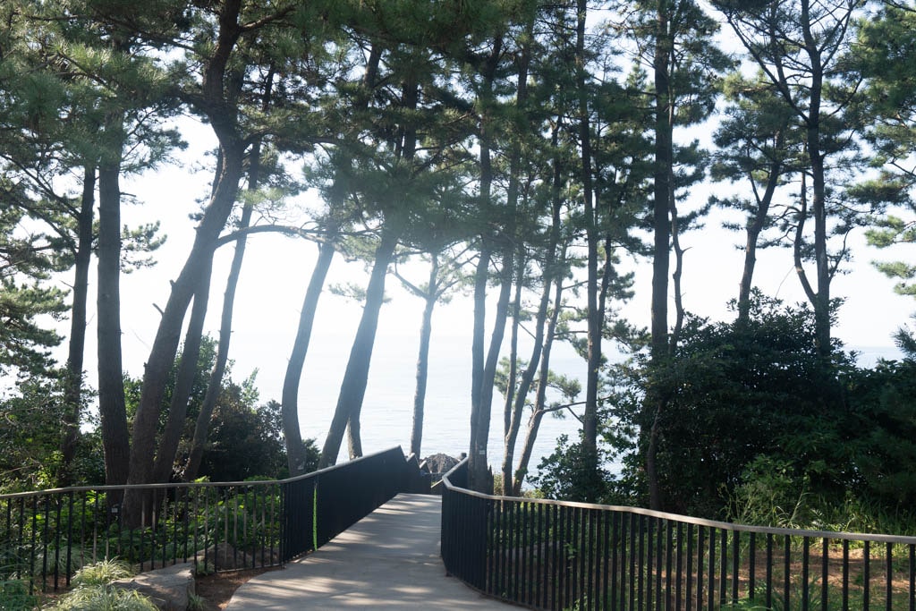 제주여행, 중문 주상절리 풍경을 담다 64 제주여행, 중문 주상절리 풍경을 담다 63