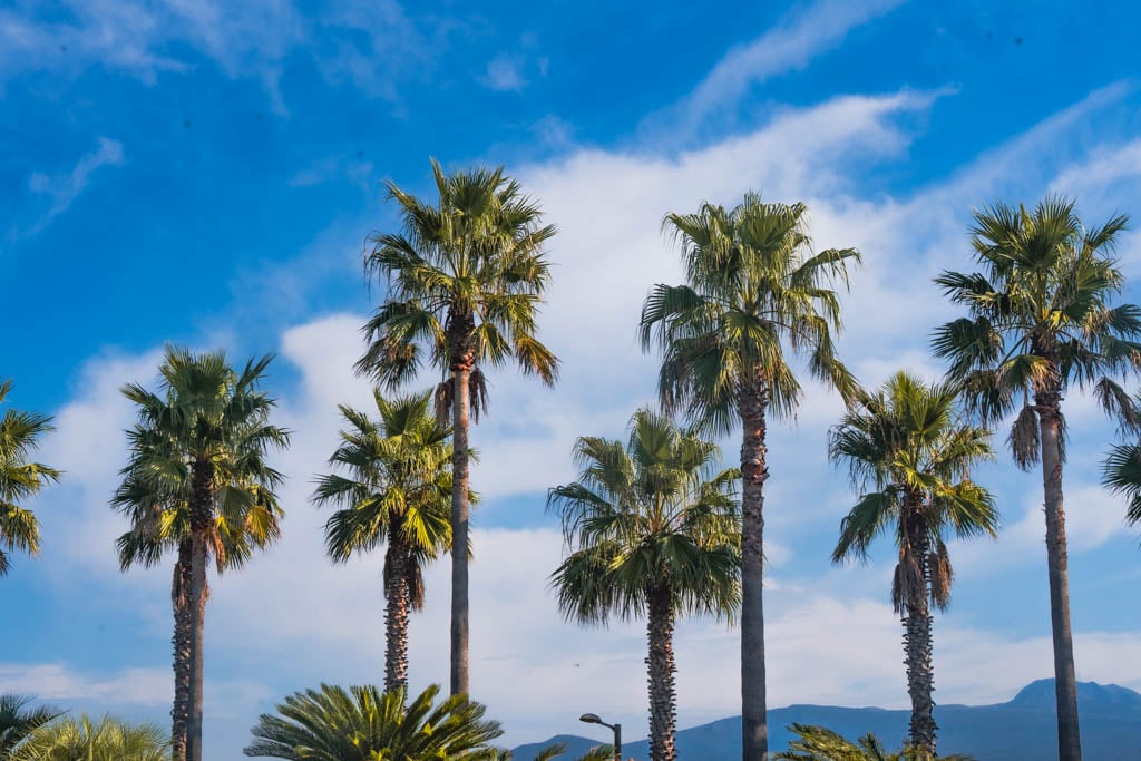 제주여행, 중문 주상절리 풍경을 담다 62 제주여행, 중문 주상절리 풍경을 담다 61