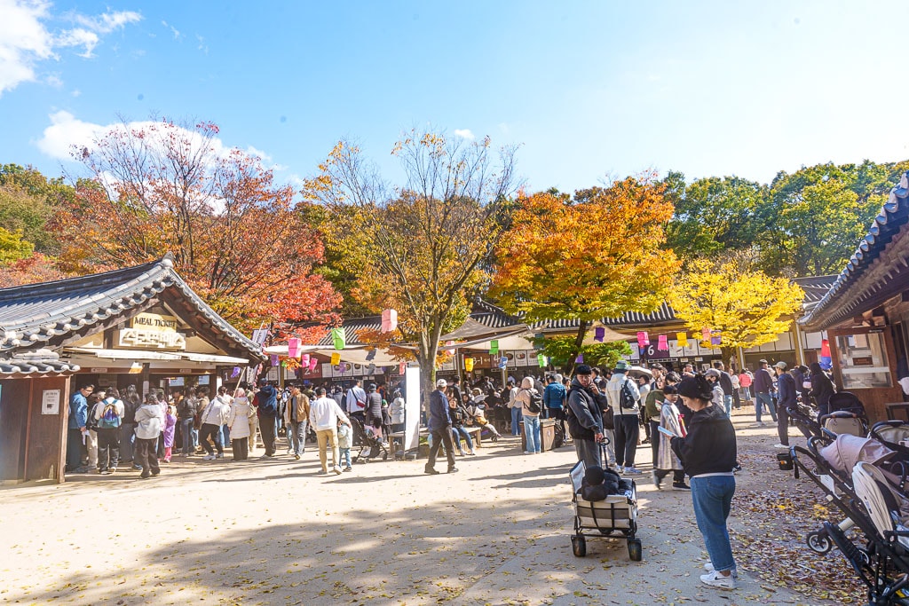 한국민속촌 가을 풍경, 민속촌은 지금 가을이 가장 아름다운 순간!! 15