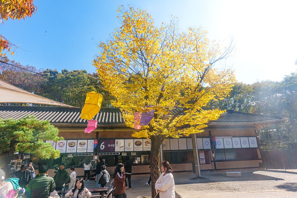 한국민속촌 가을 풍경, 민속촌은 지금 가을이 가장 아름다운 순간!! 16