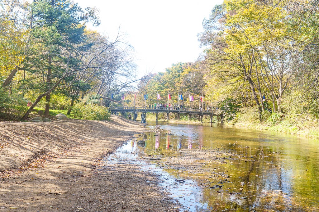 한국민속촌 가을 풍경, 민속촌은 지금 가을이 가장 아름다운 순간!! 11