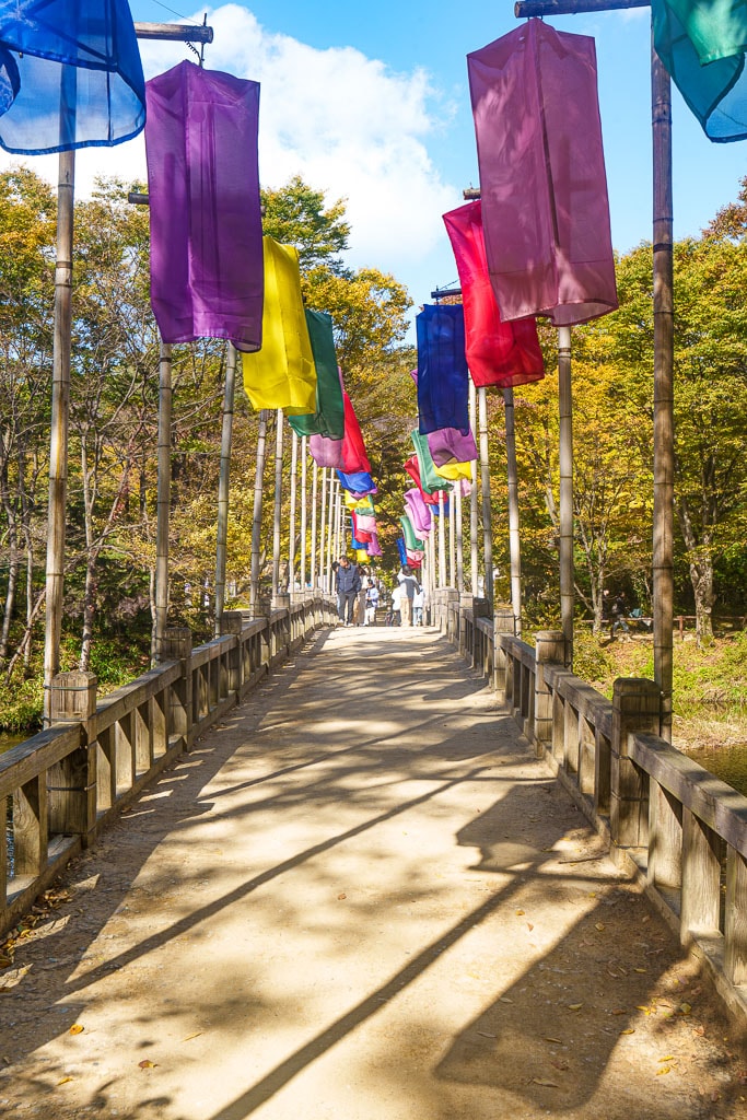 한국민속촌 가을 풍경, 민속촌은 지금 가을이 가장 아름다운 순간!! 19