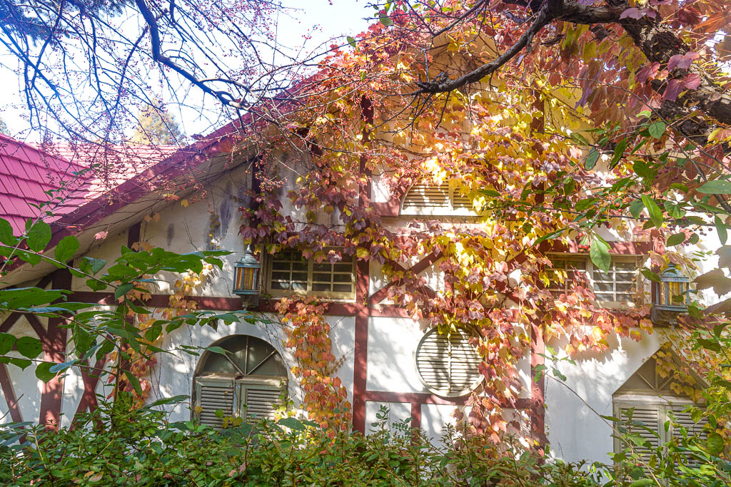 한국민속촌 가을 풍경, 민속촌은 지금 가을이 가장 아름다운 순간!! 20