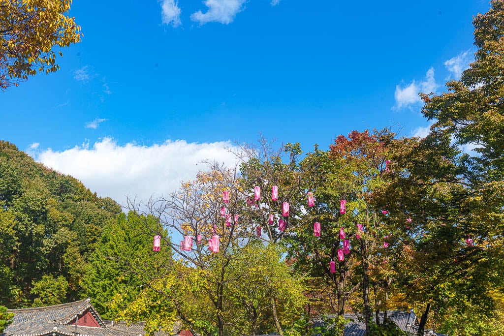 한국민속촌 가을 풍경, 민속촌은 지금 가을이 가장 아름다운 순간!! 4