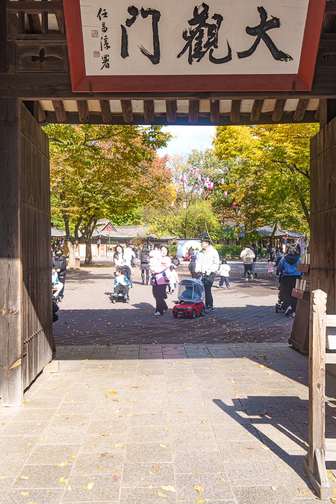 한국민속촌 가을 풍경, 민속촌은 지금 가을이 가장 아름다운 순간!! 3