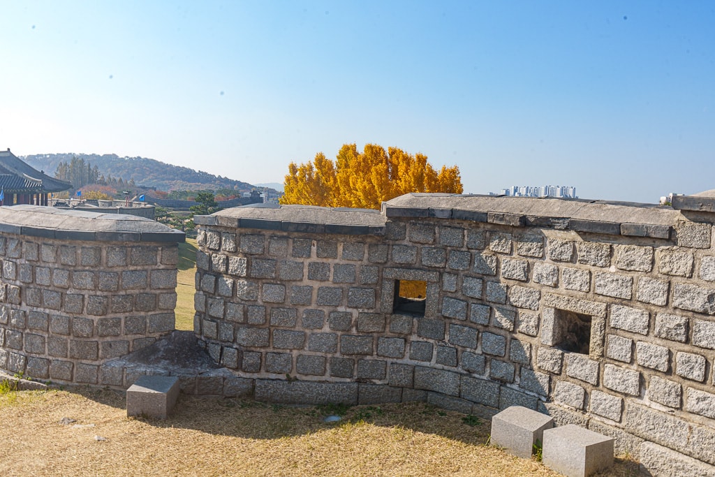 수원 화성 은행나무 단풍 출사기 10 수원 화성 은행나무 단풍 출사기 8