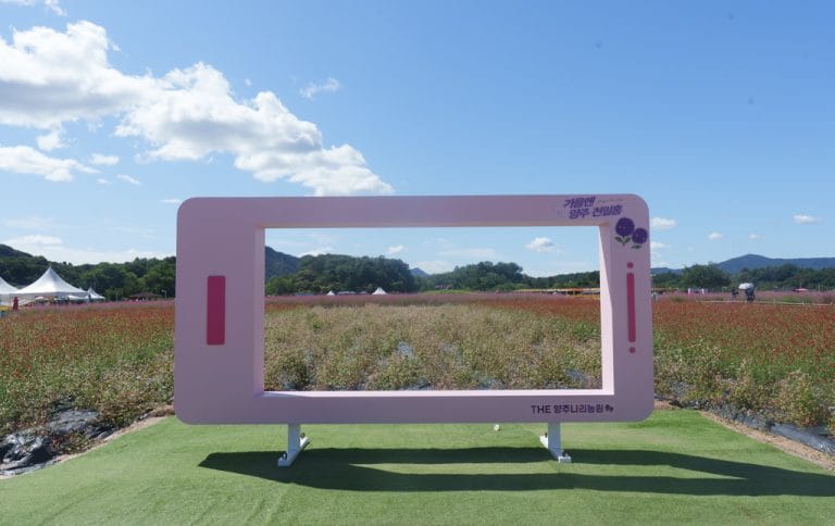 요즘 뜬다는 최신 신조어 : 느좋, 감다뒤, 휘뚜루마뚜루 의미