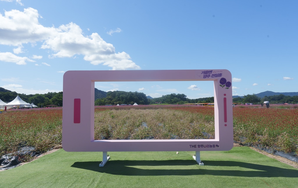 요즘 뜬다는 최신 신조어 : 느좋, 감다뒤, 휘뚜루마뚜루 의미 9 요즘 뜬다는 최신 신조어 : 느좋, 감다뒤, 휘뚜루마뚜루 의미 9