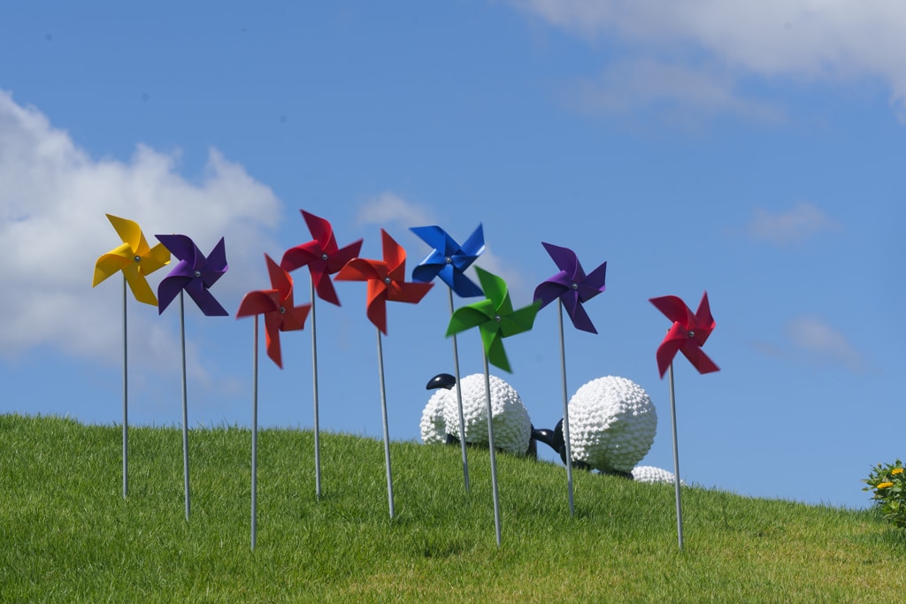 양주나리농원, 천일홍축제에 다녀오다 14