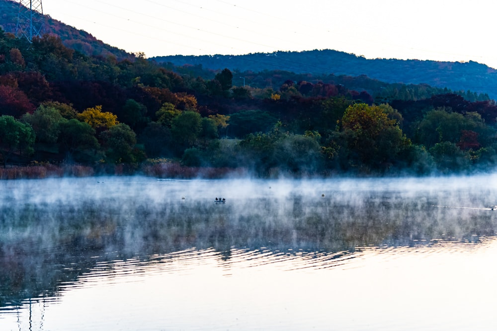 인천대공원 가을 정취에 취해보다. 22