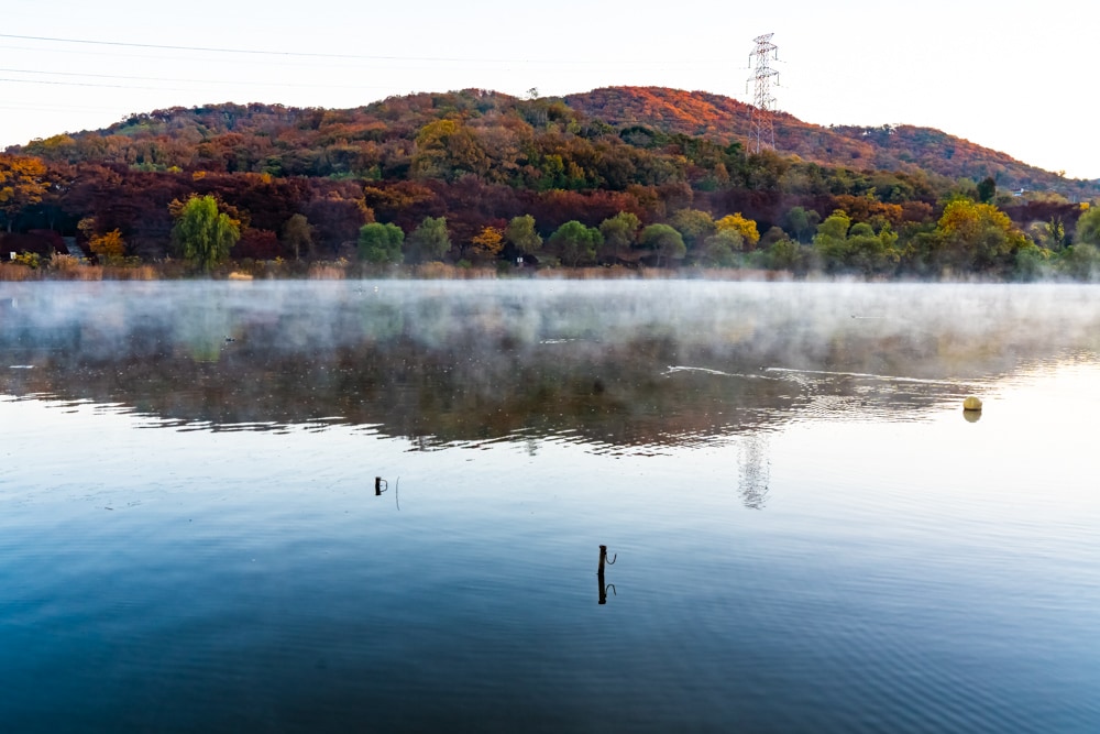 인천대공원 가을 정취에 취해보다. 21
