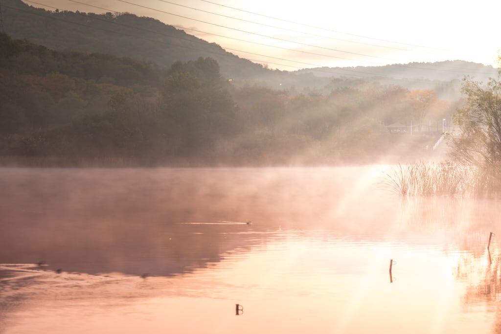 인천대공원 가을 정취에 취해보다. 19