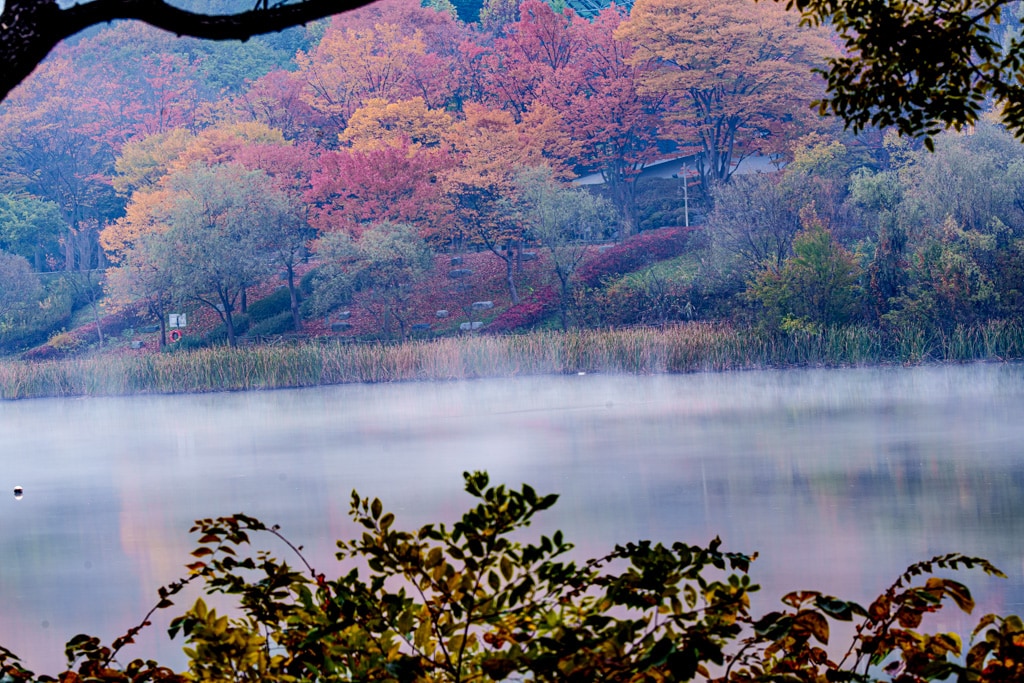 인천대공원 가을 정취에 취해보다. 20