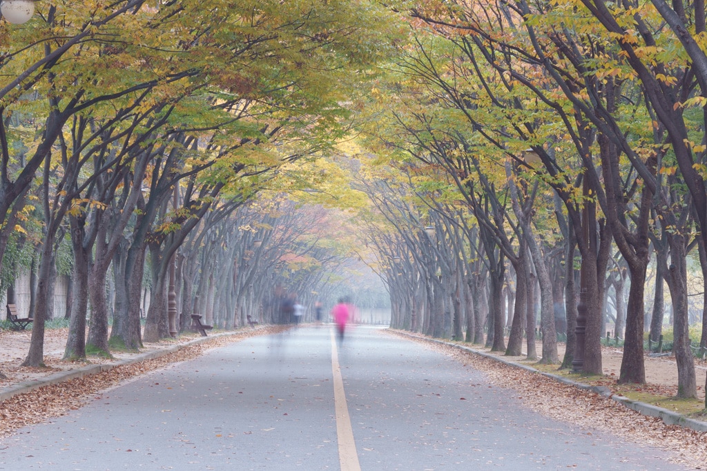인천대공원 가을 정취에 취해보다. 27
