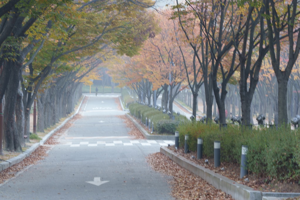 인천대공원 가을 정취에 취해보다. 29