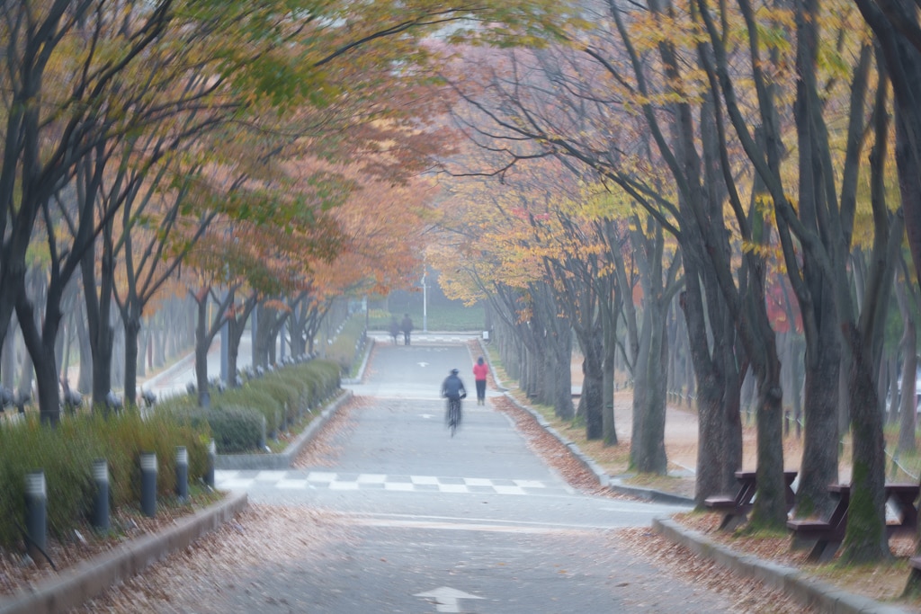 인천대공원 가을 정취에 취해보다. 28
