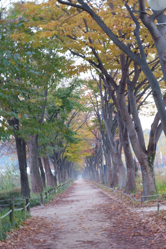인천대공원 가을 정취에 취해보다. 18