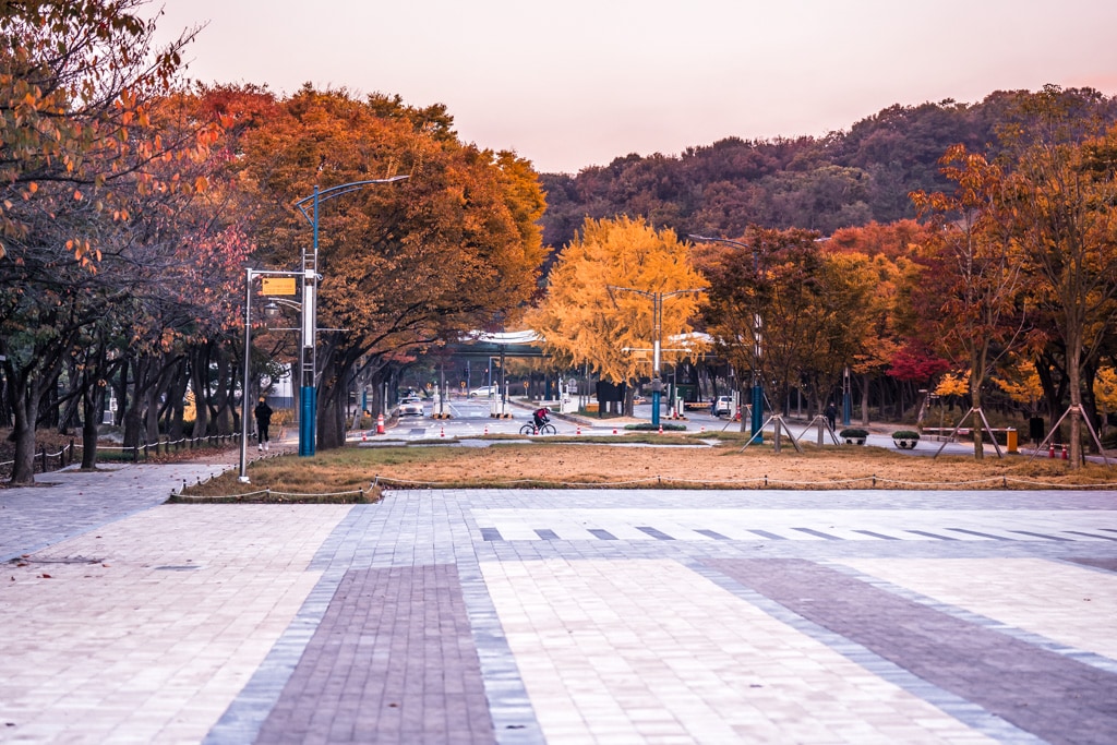 인천대공원 가을 정취에 취해보다. 17