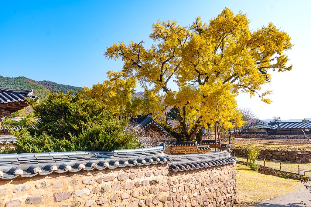 한국 3대 정원(3대 전통 별서정원) 소개 3