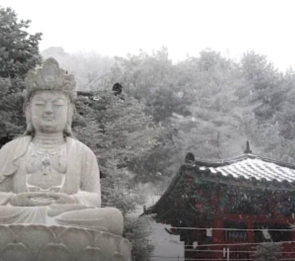 CNN 선정 10대 사찰 여행: 영혼을 씻기는 풍경과 맛집 총정리 10 CNN 선정 10대 사찰 여행: 영혼을 씻기는 풍경과 맛집 총정리 10