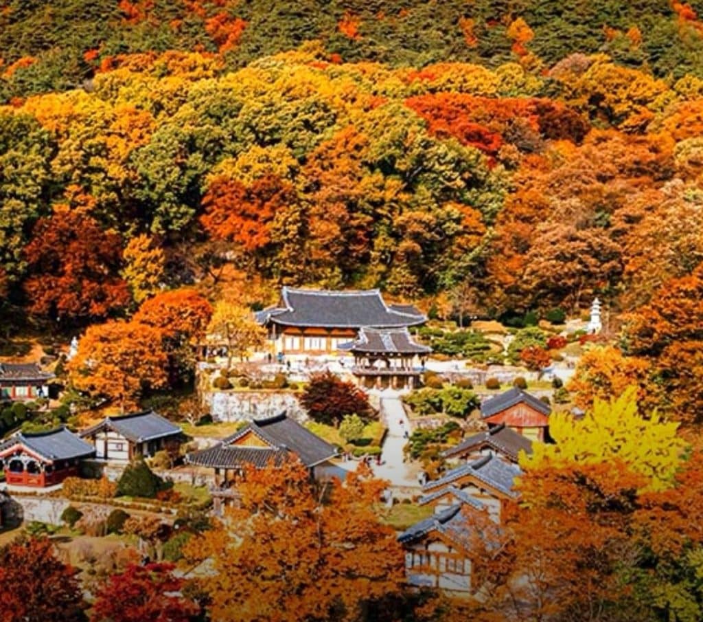 CNN 선정 10대 사찰 여행: 영혼을 씻기는 풍경과 맛집 총정리 1 CNN 선정 10대 사찰 여행: 영혼을 씻기는 풍경과 맛집 총정리 1