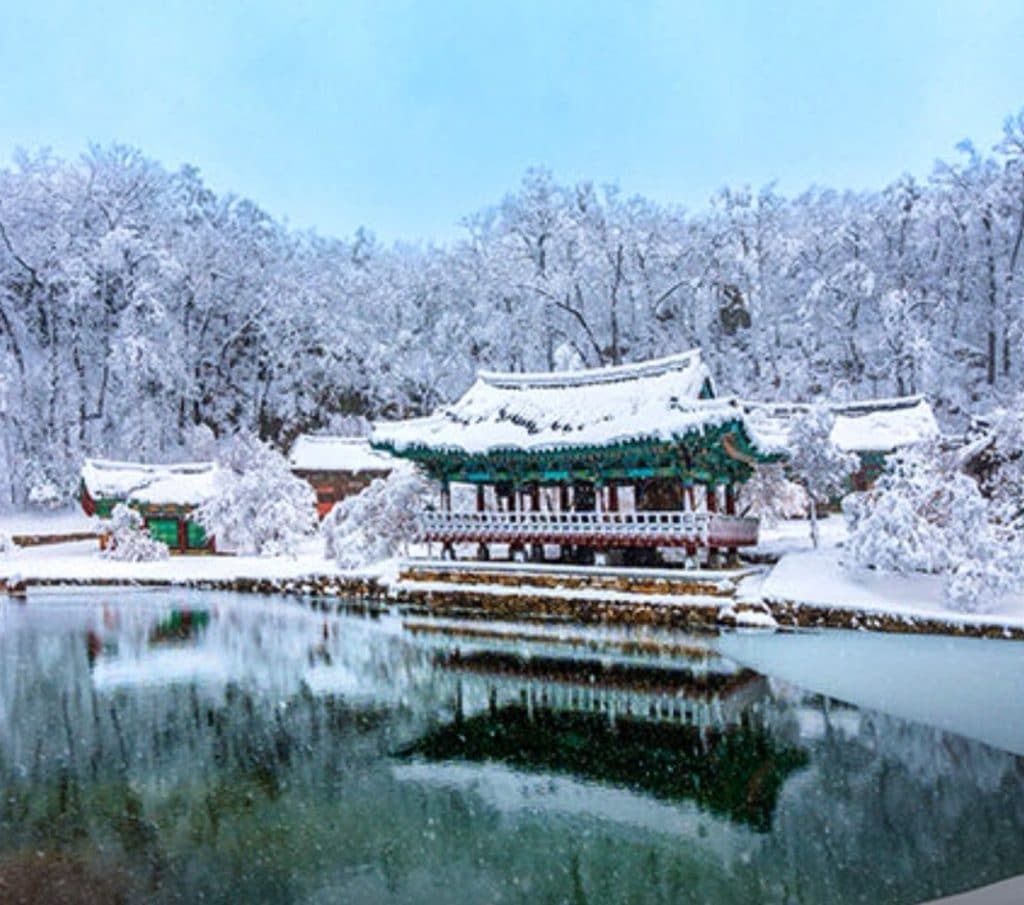 CNN 선정 10대 사찰 여행: 영혼을 씻기는 풍경과 맛집 총정리 8