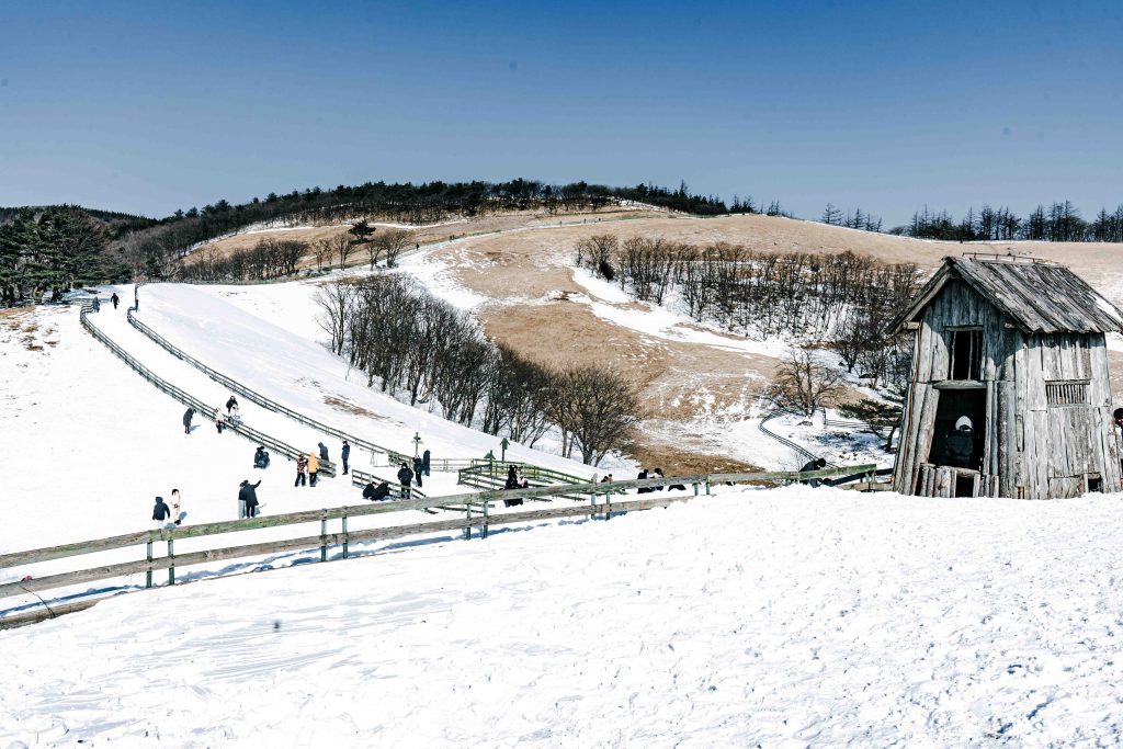 겨울왕국 그 자체, 대관령 양떼목장: 눈꽃 핀 능선 따라 걷는 낭만 여행 (ft. 인생샷 스팟) 6 겨울왕국 그 자체, 대관령 양떼목장: 눈꽃 핀 능선 따라 걷는 낭만 여행 (ft. 인생샷 스팟) 5