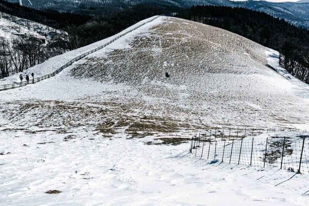 겨울왕국 그 자체, 대관령 양떼목장: 눈꽃 핀 능선 따라 걷는 낭만 여행 (ft. 인생샷 스팟) 2 겨울왕국 그 자체, 대관령 양떼목장: 눈꽃 핀 능선 따라 걷는 낭만 여행 (ft. 인생샷 스팟) 1