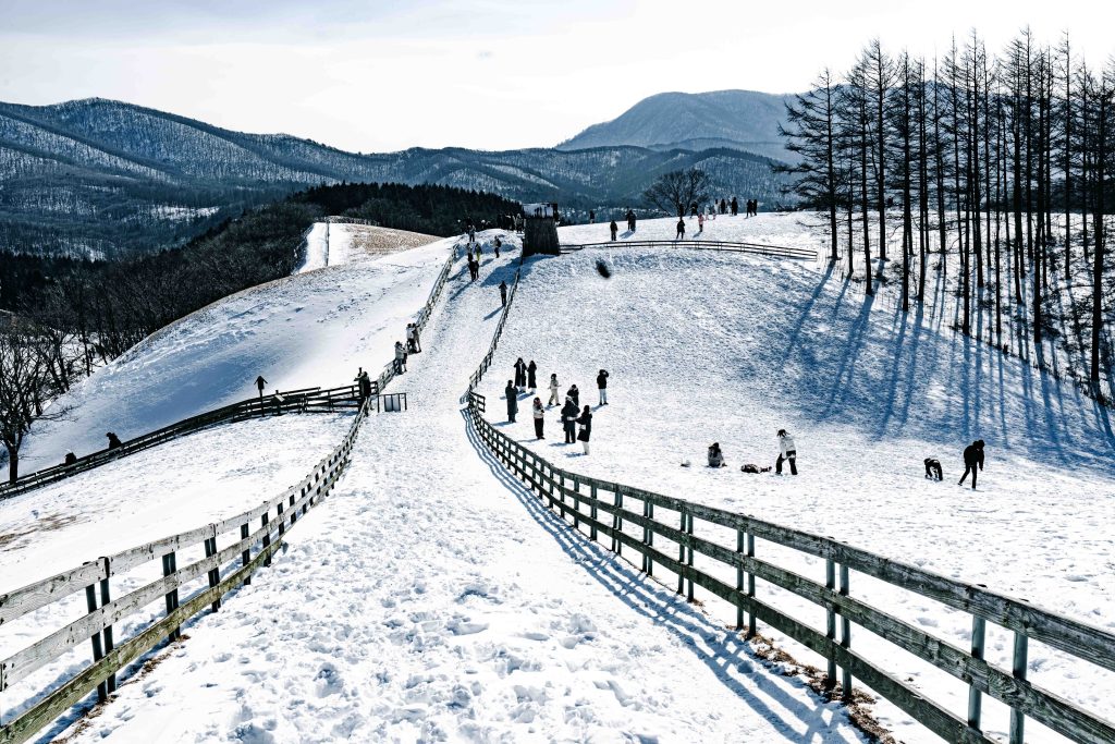 겨울왕국 그 자체, 대관령 양떼목장: 눈꽃 핀 능선 따라 걷는 낭만 여행 (ft. 인생샷 스팟) 5 겨울왕국 그 자체, 대관령 양떼목장: 눈꽃 핀 능선 따라 걷는 낭만 여행 (ft. 인생샷 스팟) 4