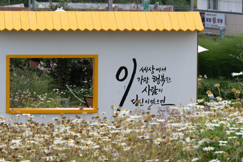서해 바다와 초여름 꽃의 앙상블, 홍성 '카페 비츠(VITZ)' 완벽 출사 가이드 9
