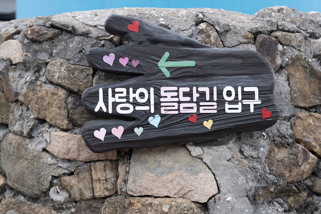 고양이와 수국이 사는 섬 — 고흥 쑥섬 수국 여행기 9 고양이와 수국이 사는 섬 — 고흥 쑥섬 수국 여행기 9