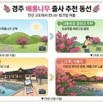 경주 배롱나무 출사 동선