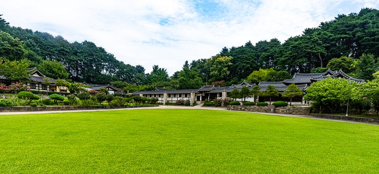 여름 강릉 선교장 배롱나무·능소화·상사화가 피어나는 고택산책
