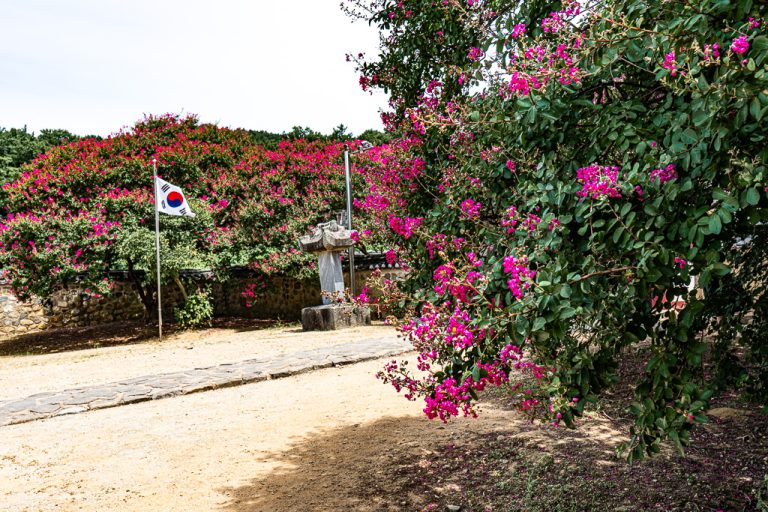 계백 장군과 사육신이 함께 잠든 곳, 논산 충곡서원 배롱나무 방문기