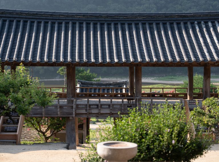 병산과 낙동강 사이, 안동 병산서원 배롱나무 출사기
