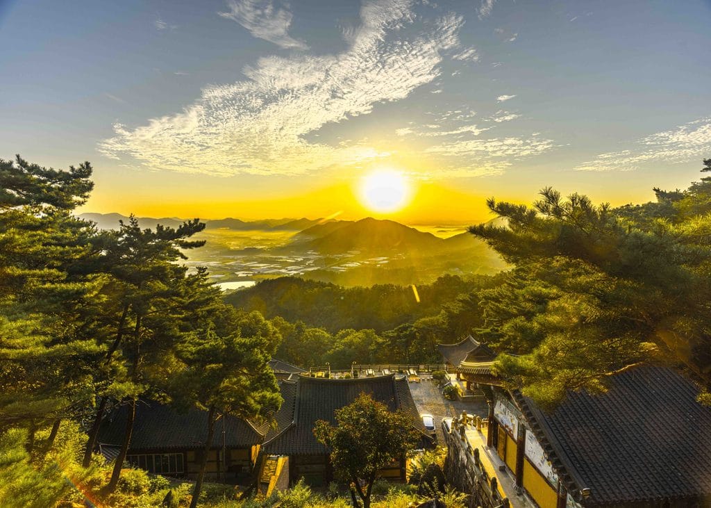 새벽길을 달려가 만난 옥천 용암사 운무대에서 만난 운해 32 새벽길을 달려가 만난 옥천 용암사 운무대에서 만난 운해 25