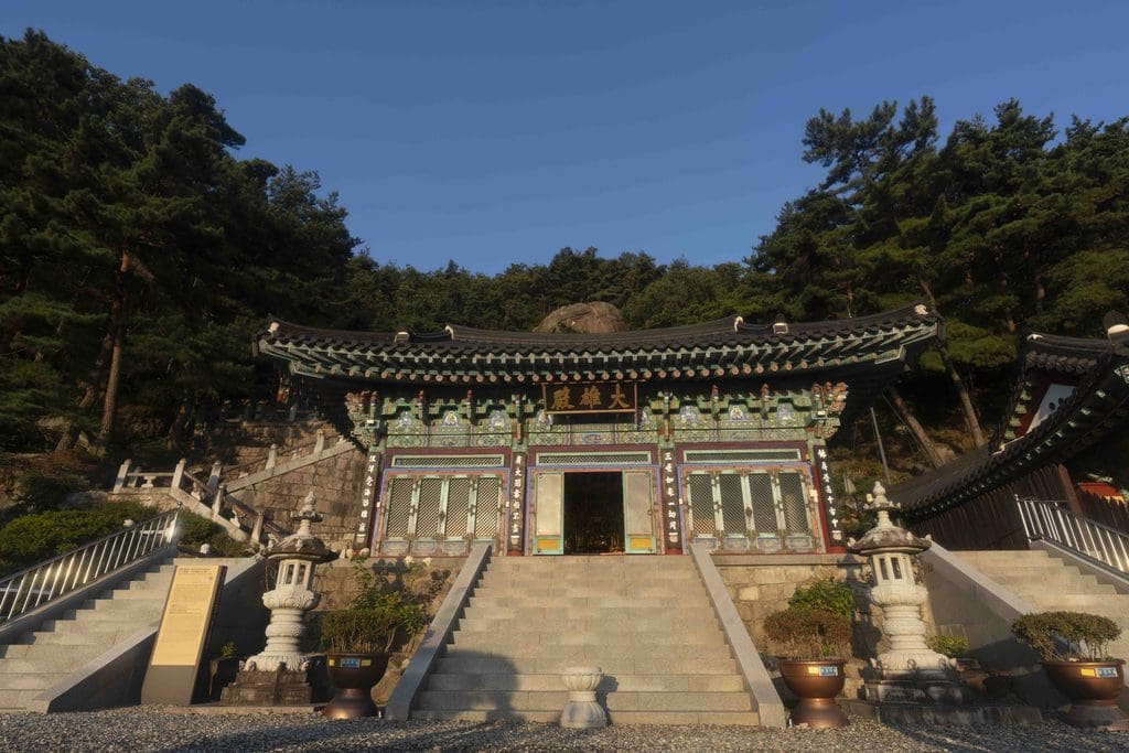 새벽길을 달려가 만난 옥천 용암사 운무대에서 만난 운해 35 새벽길을 달려가 만난 옥천 용암사 운무대에서 만난 운해 28