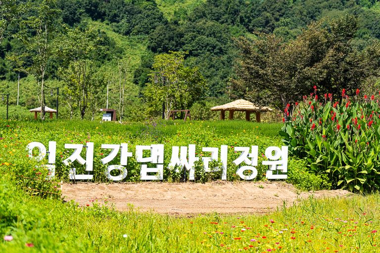 아직은 초록빛, 26년 9월 연천 임진강댑싸리공원 방문기